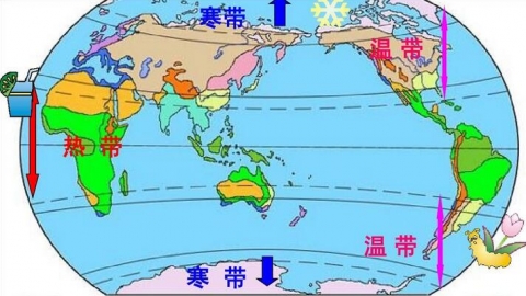 初中六年级地理世界主要气候类型3 沧海师泽教育在线 山东德泽天下教育科技有限公司 中小学直播课程 在线辅导 教师资格证 在线教育 中小学培训 自主招生 云自考