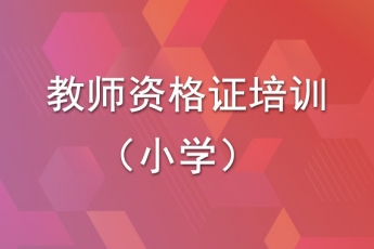 小学教师资格证培训