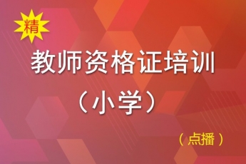小学教师资格证培训（精）